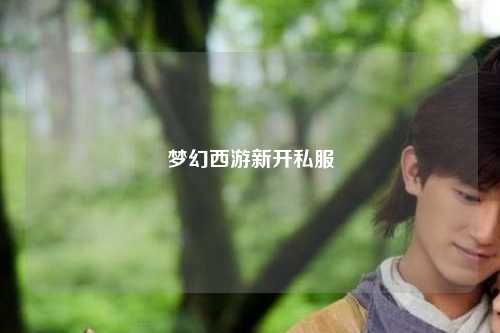 梦幻西游新开私服